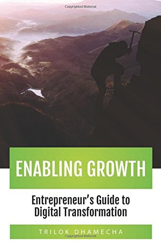 Enabling Growth Entrepreneur's Guide to Digital Transformation