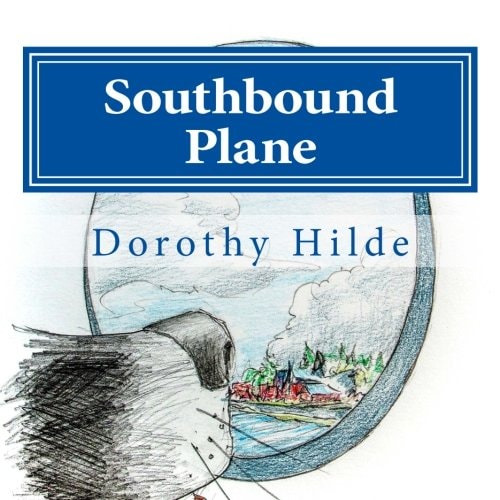 Southbound Plane The Life of Dash
