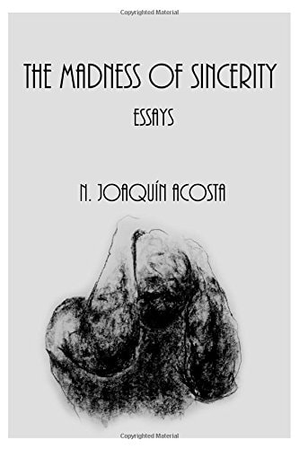 The Madness of Sincerity Essays
