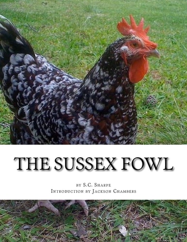 The Sussex Fowl The History and Breeding of Sussex Chickens