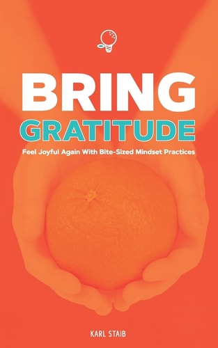 Bring Gratitude Feel Joyful Again with Bite-Sized Mindset Practices