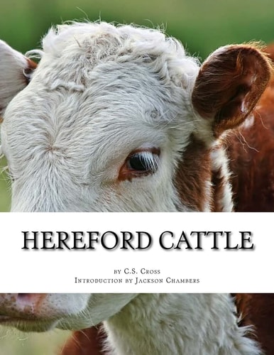 Hereford Cattle As Imported by C. S. Cross
