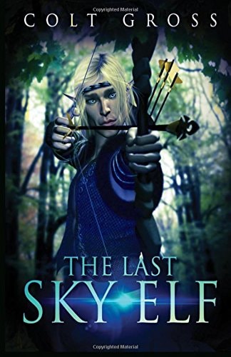 The Last Sky Elf