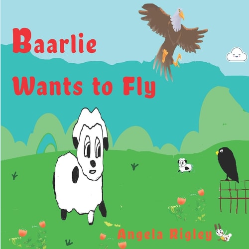 Baarlie Wants to Fly