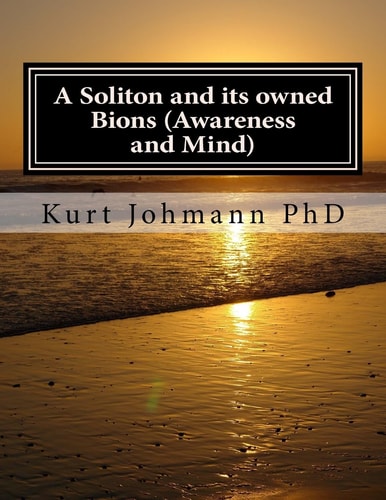 A Soliton and Its Owned Bions (Awareness and Mind) These Intelligent Particles Are How We Survive Death