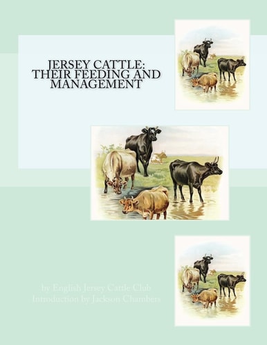 Jersey Cattle Their Feeding and Management