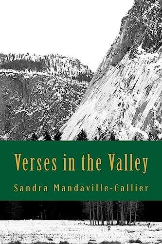 Verses in the Valley Poems and Prayers for Pursuing Your Purpose