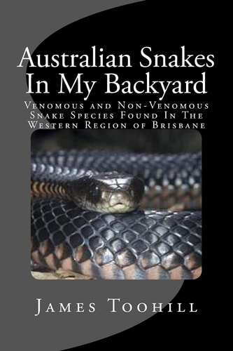 Australian Snakes In My Backyard Fascinating Fun Question And Answer Facts About Australian Snakes In The Western Region of Brisbane Queensland Australia