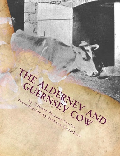 The Alderney and Guernsey Cow The Nature and Management of Alderney and Guernsey Cattle