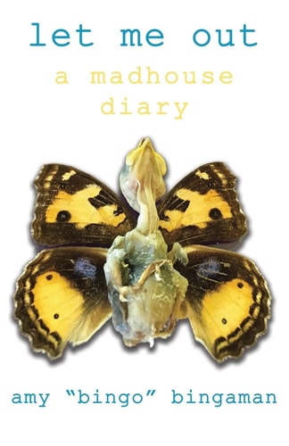 Let Me Out A Madhouse Diary