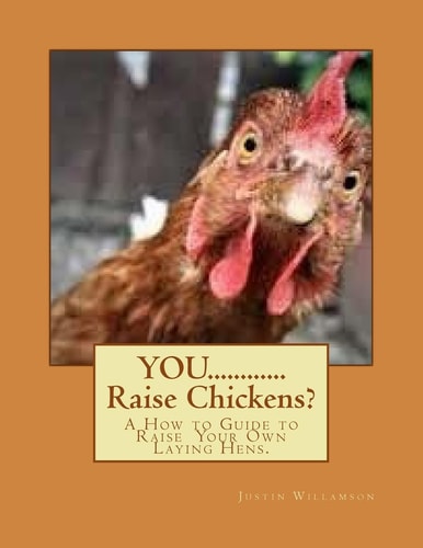 YOU... ... ... ... Raise Chickens? A How to Guide to Raise Laying Hens