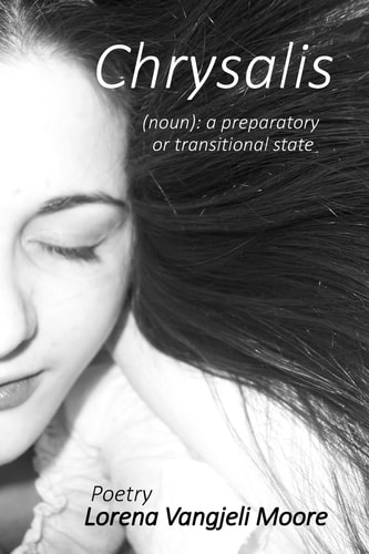 Chrysalis (noun): a Preparatory Or Transitional State