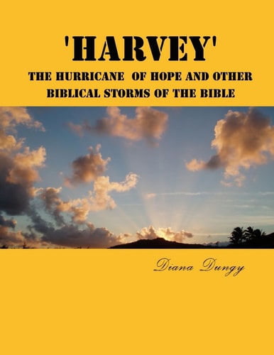 'Harvey' The Hurricane Of Hope And Other Biblical Storms Of The Bible From Hurricane Harvey to Champions of the World Series. A New Beginning to Gain Hope, Enlightment Or Freedom, Following A Storm.
