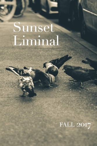 Sunset Liminal Vol. 5 Fall 2017