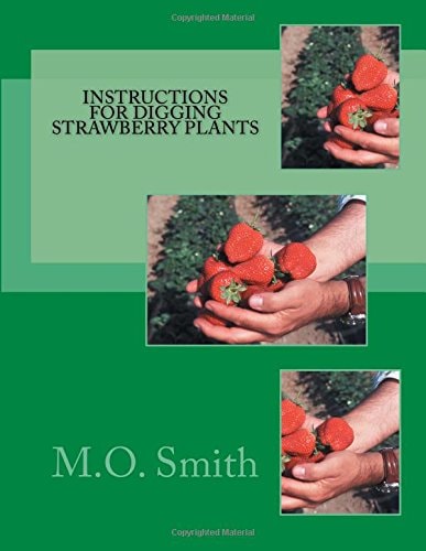 Instructions For Digging Strawberry Plants