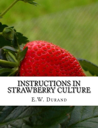 Instructions in Strawberry Culture Or, How To Grow Strawberries