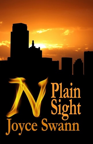 N Plain Sight
