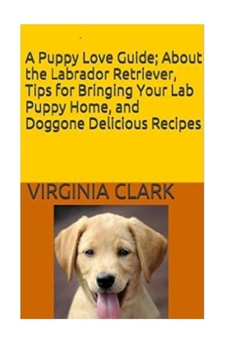 A Puppy Love Guide About the Labrador Retriever, Tips for Bringing Your Lab Pup