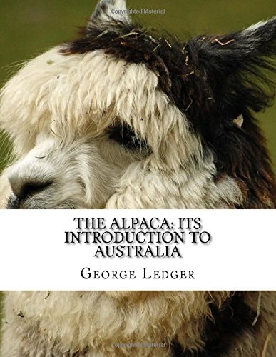 The Alpaca Its Introduction to Australia