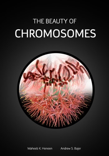 The Beauty of Chromosomes