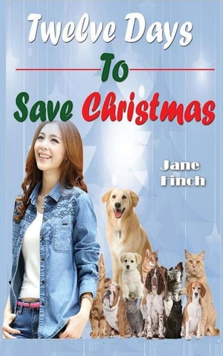 Twelve Days To Save Christmas