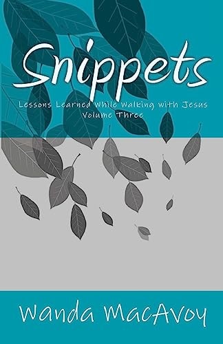 Snippets Lessons Learned While Walking with Jesus