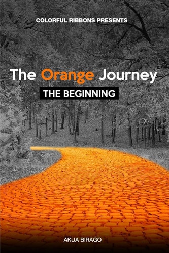Colorful Ribbons Presents The Orange Journey The Beginning