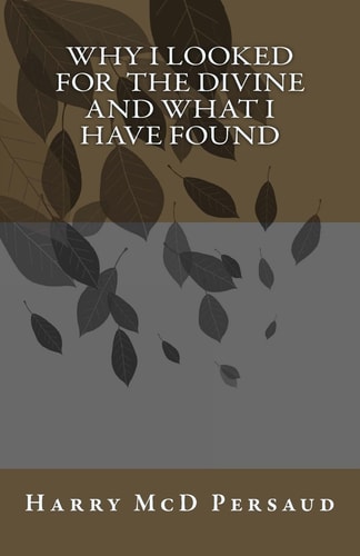 Why I Searched for the Divine and what I Have Found