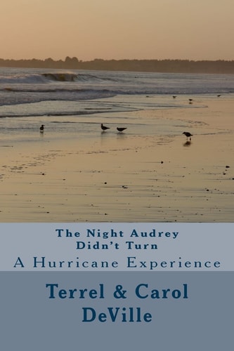 The Night Audrey Didn't Turn A Hurricane Experience