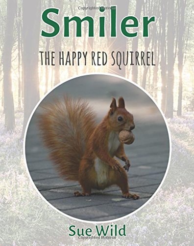 Smiler The Happy Red Squirrel
