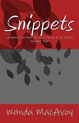 Snippets Lessons Learned While Walking with Jesus
