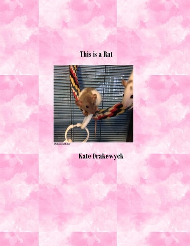 This Is a Rat