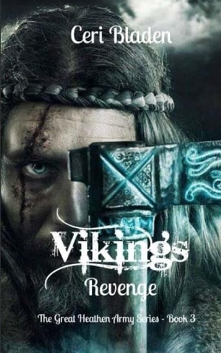 Vikings Revenge