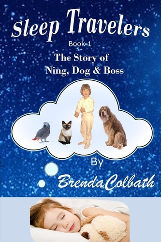 Sleep Travelers The Story of Ning, Dog, and Boss Book 1