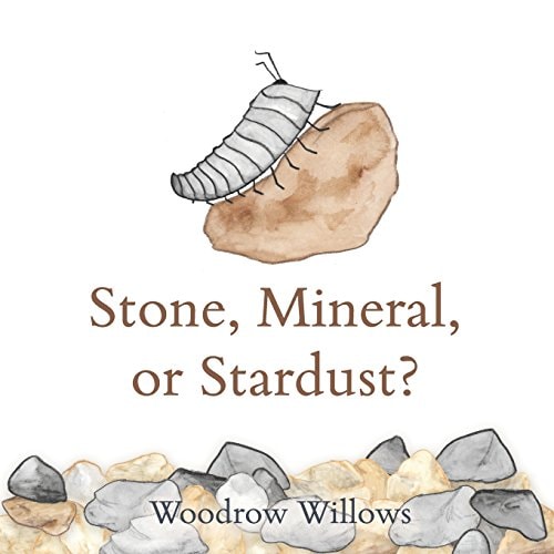 Stone, Mineral, Or Star Dust?
