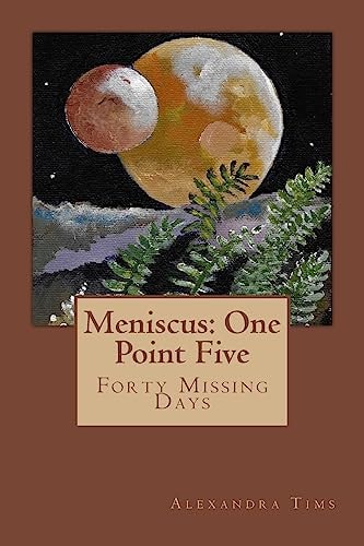 Meniscus One Point Five
