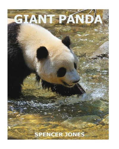 Giant Panda