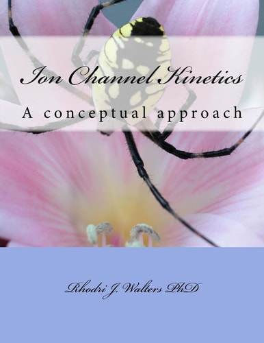 Ion Channel Kinetics A Conceptual Approach