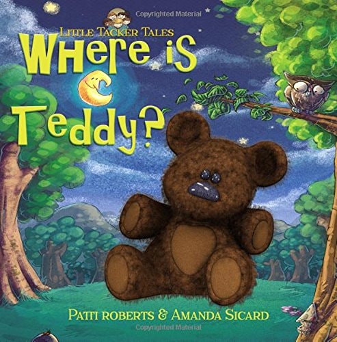 Where Is Teddy? A Cosy Bedtime Story