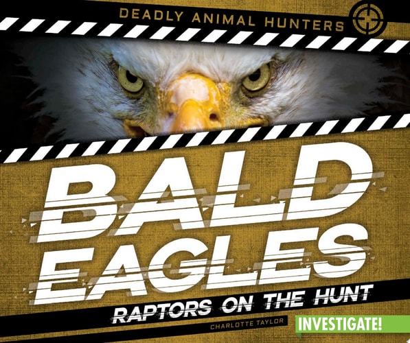 Bald Eagles: Raptors on the Hunt
