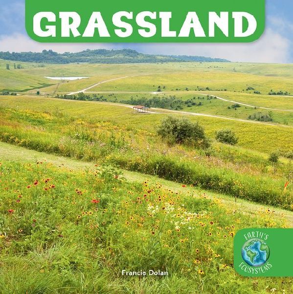 Grassland