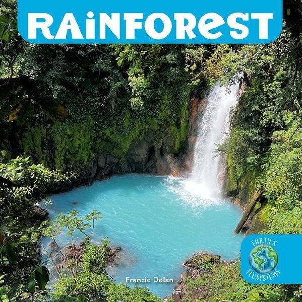 Rainforest