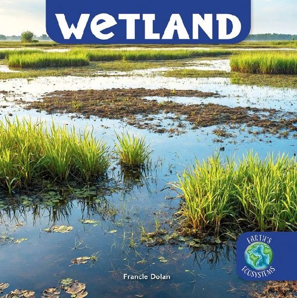 Wetland