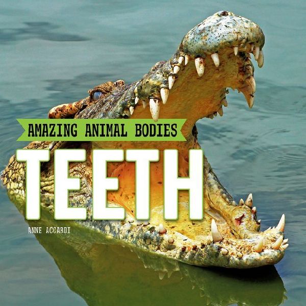 Teeth