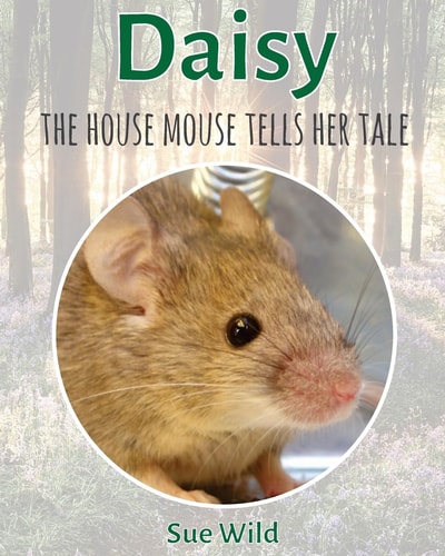 Daisy The House Mouse Tells Her Tale
