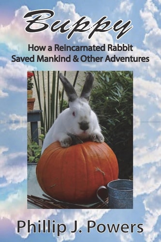 Buppy How the Reincarnation of a Bunny Rabbit Saved Mankind and Other Adventures