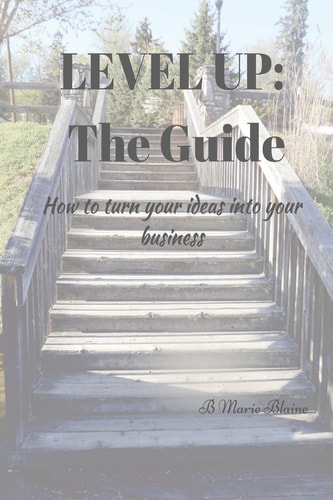 Level Up! The Guide How to Turn Your Ideas Into Your Business!