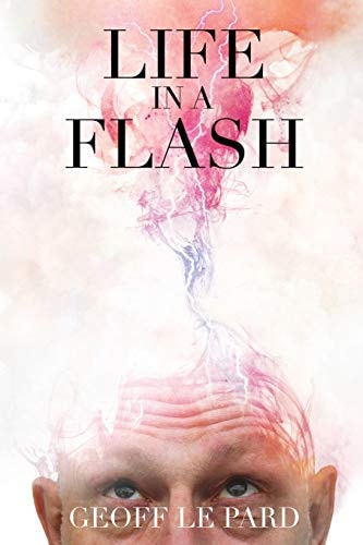Life in a Flash