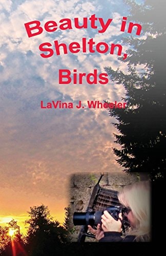 Beauty in Shelton Birds