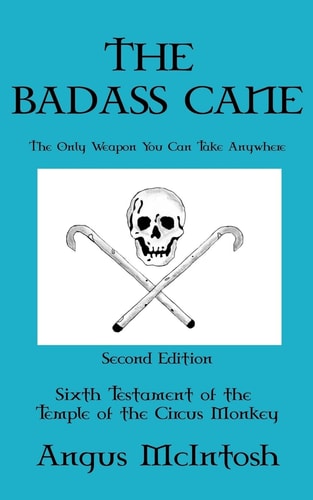 The BadAss Cane The Only Weapon You Can Take Anywhere